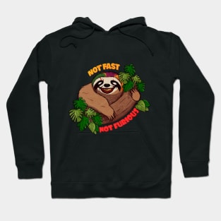 Not Fast Not Furious, Funny Sloth Hoodie